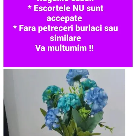 Seby Nyaraló Konstanca